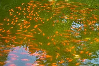 无畏契约国服预约在哪？无畏契约国服官网预约入口地址