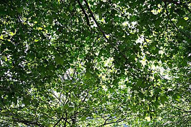 微软展望“Xbox 2042”可能性 高赞评论扎心了